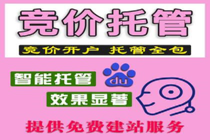 信息流内容运营成功案例解析