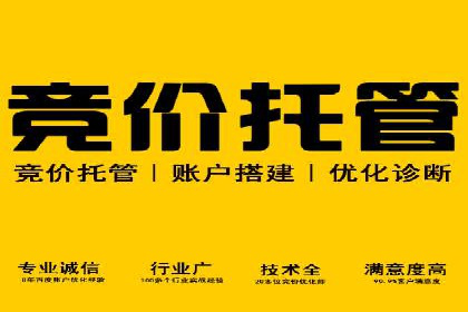SEM推广竞价案例：品牌知名度提升之道
